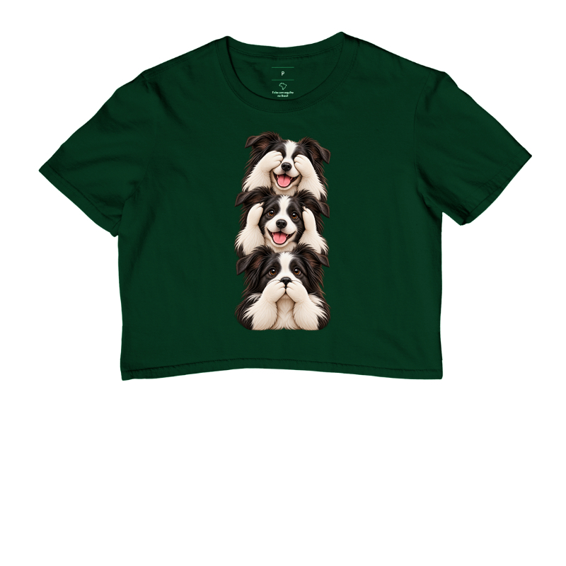 Ver, ouvir e falar Border Collie - Imagem 5