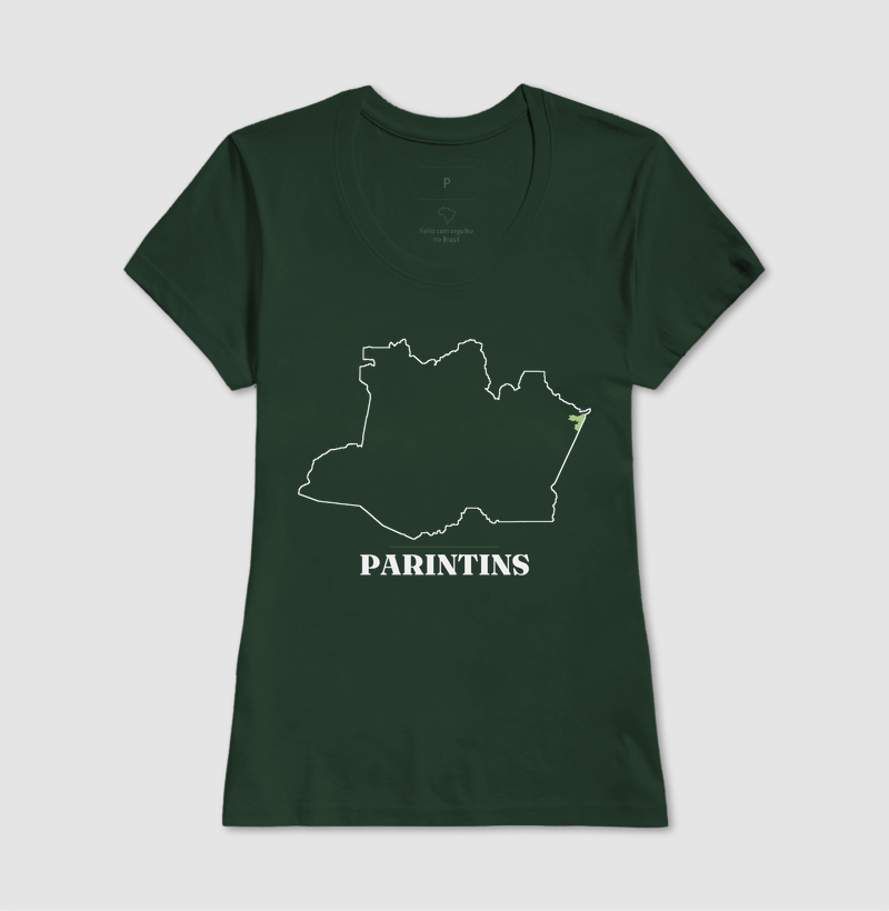 Parintins | Traço AM - Imagem 13