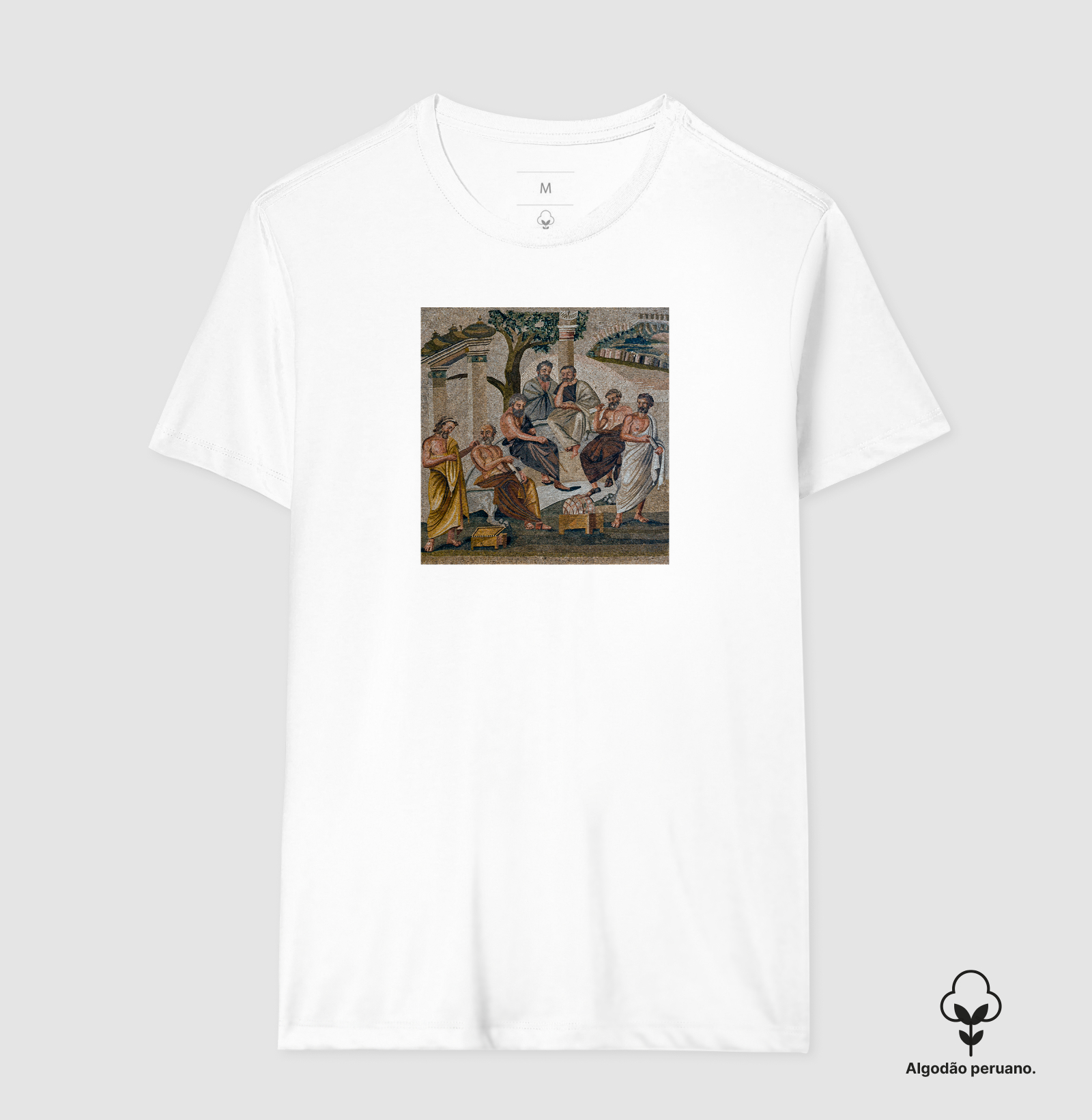 A Academia de Platão — Mosaico de Pompeia - Imagem 8
