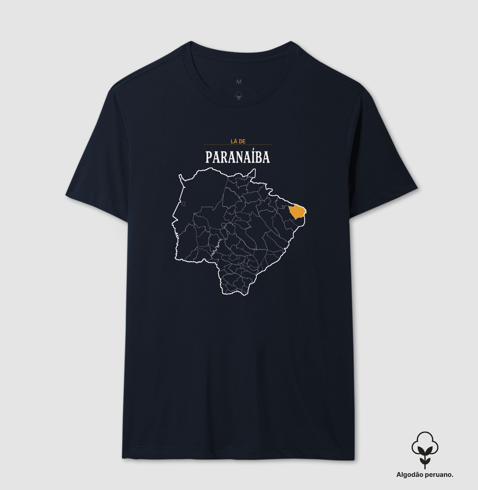 Paranaíba | Território MS - Imagem 7