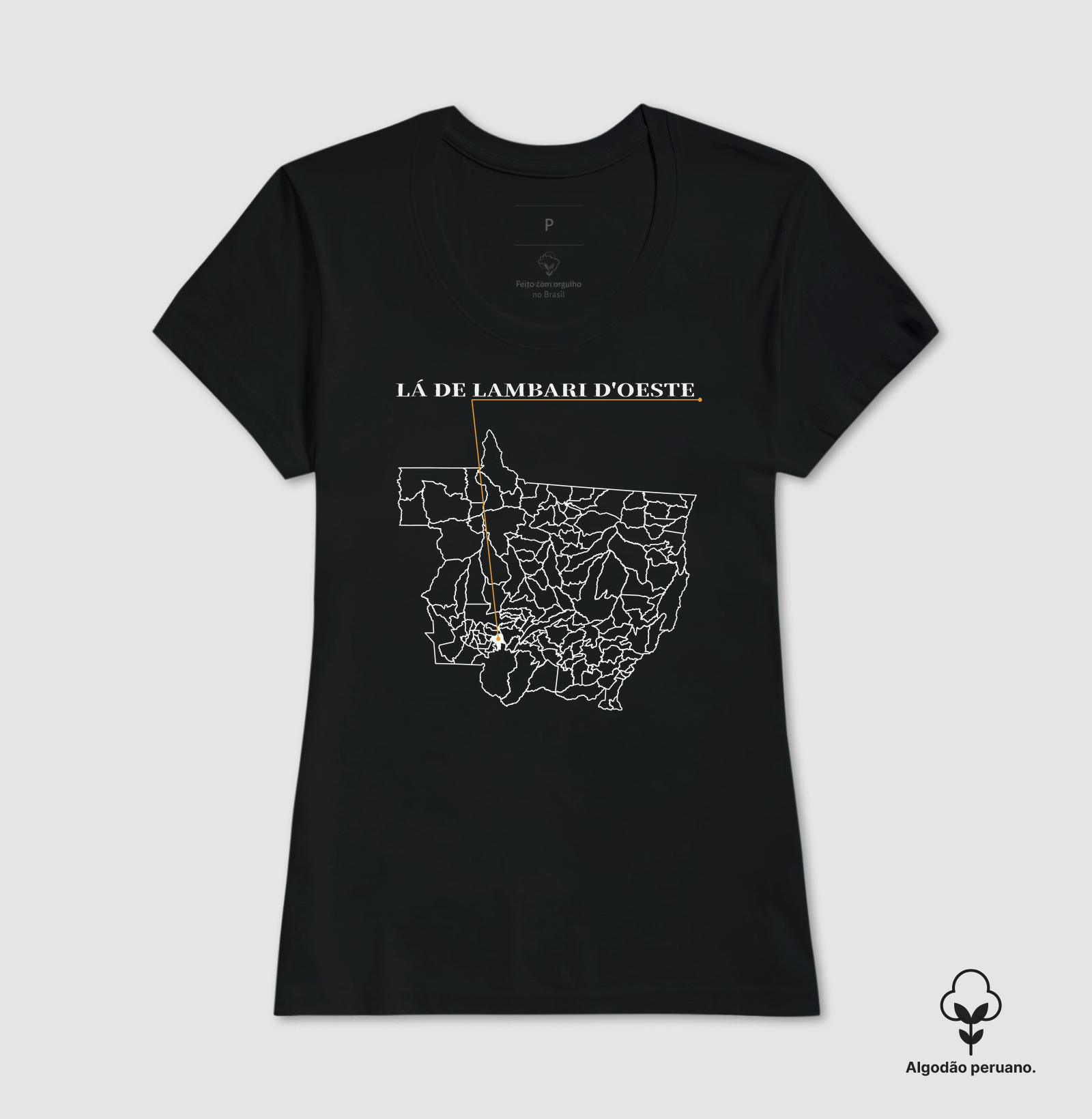 Lambari D'Oeste | Origem MT - Imagem 7