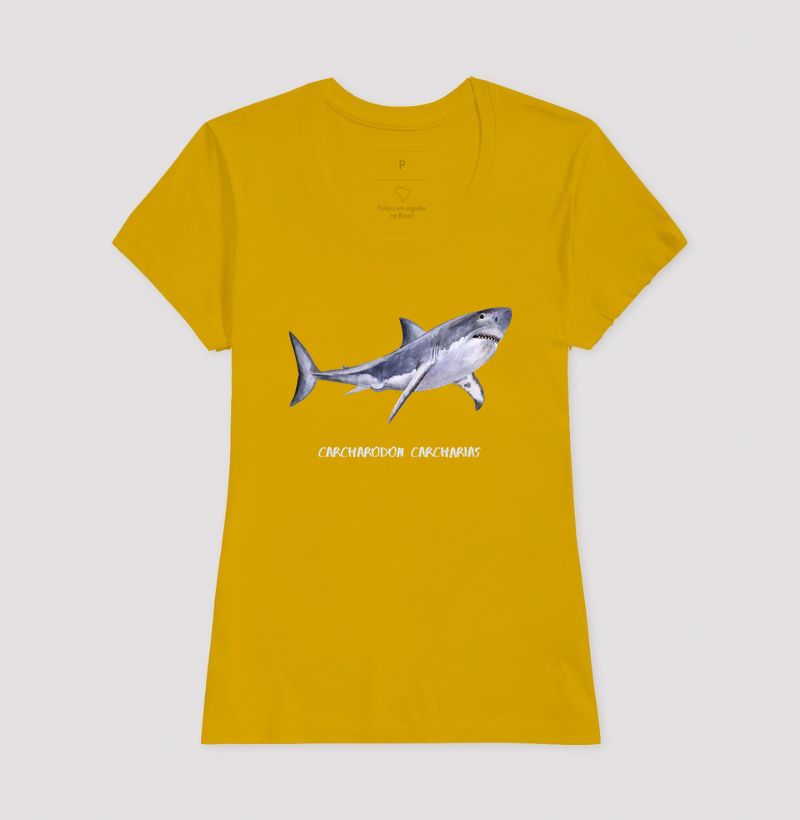 Carcharodon carcharias - Imagem 17