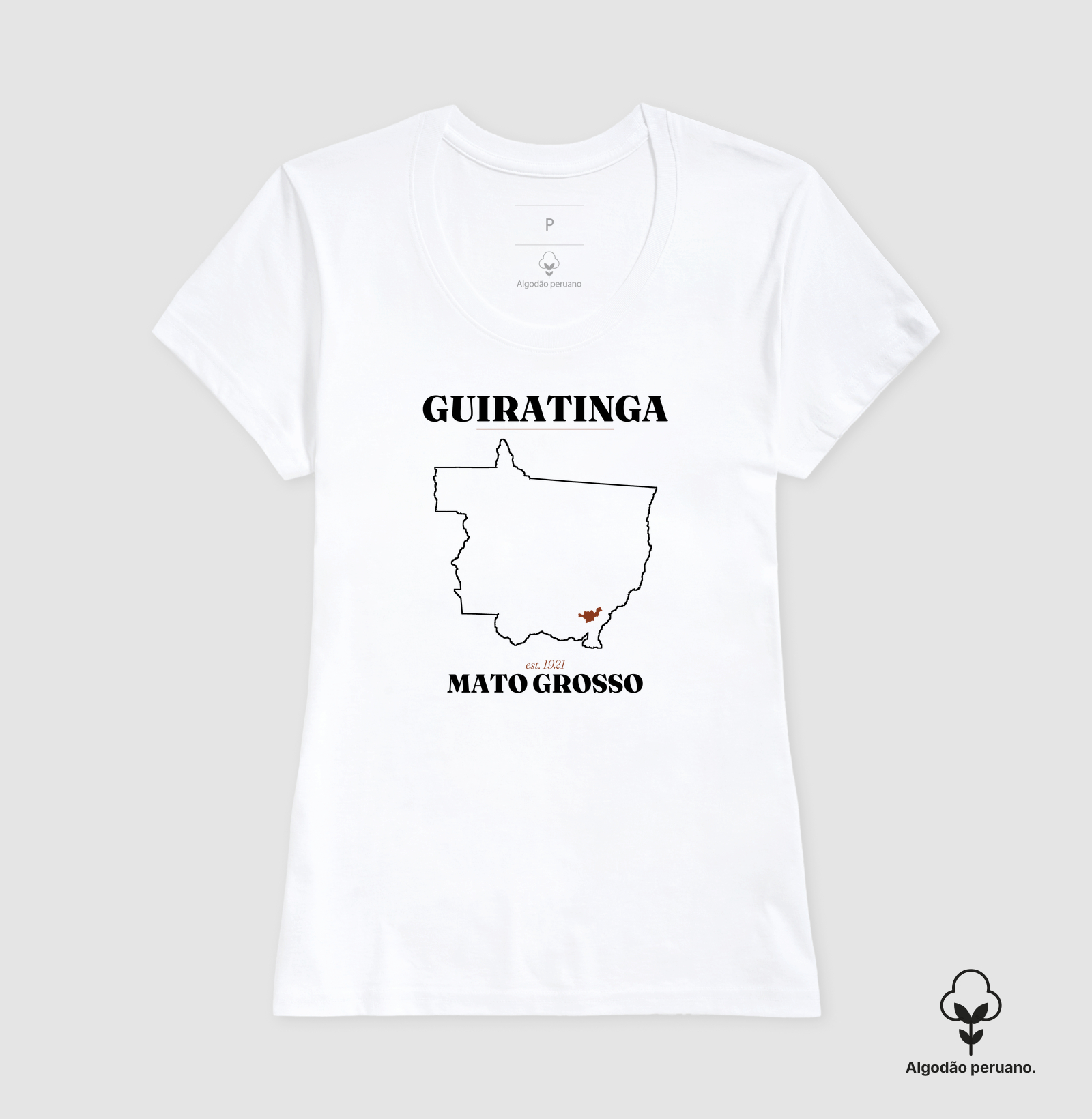 Guiratinga | Legado MT - Imagem 5