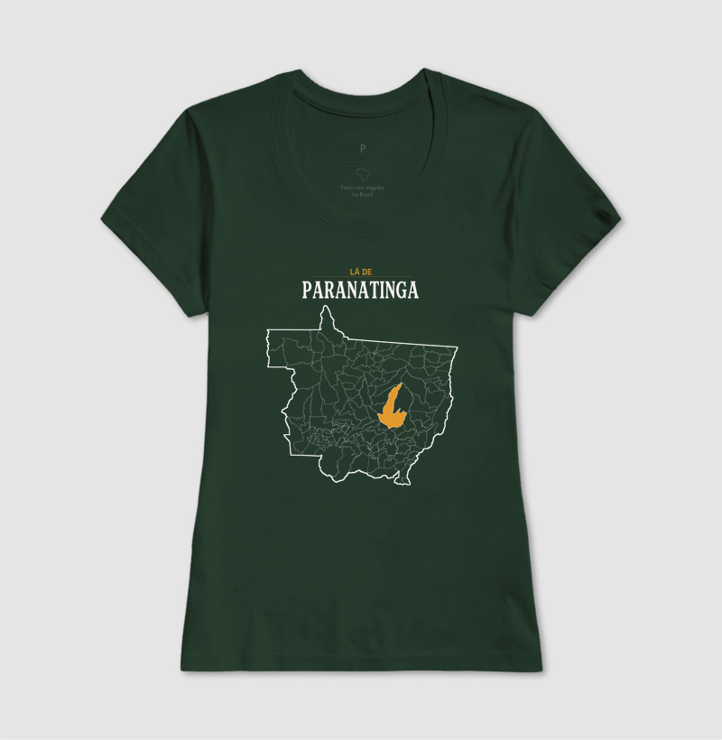 Paranatinga | Território MT - Imagem 13