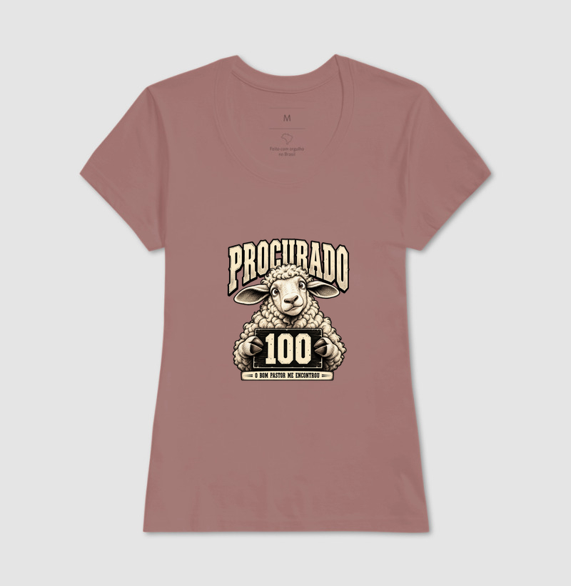 A Ovelha 100 - Imagem 17