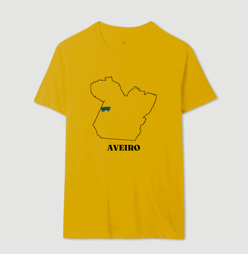 Aveiro | Traço PA - Imagem 14