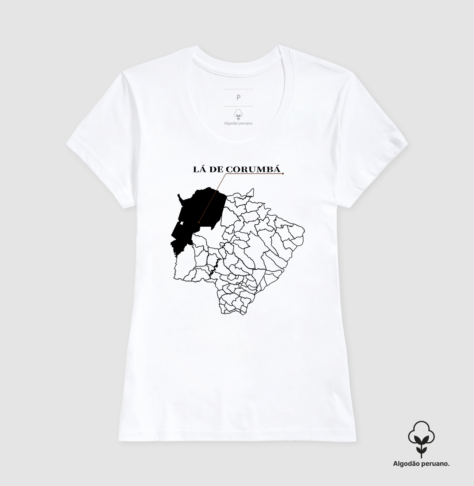 Corumbá | Origem MS - Imagem 7