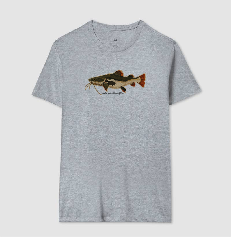 Pirarara 🐟 - Imagem 8