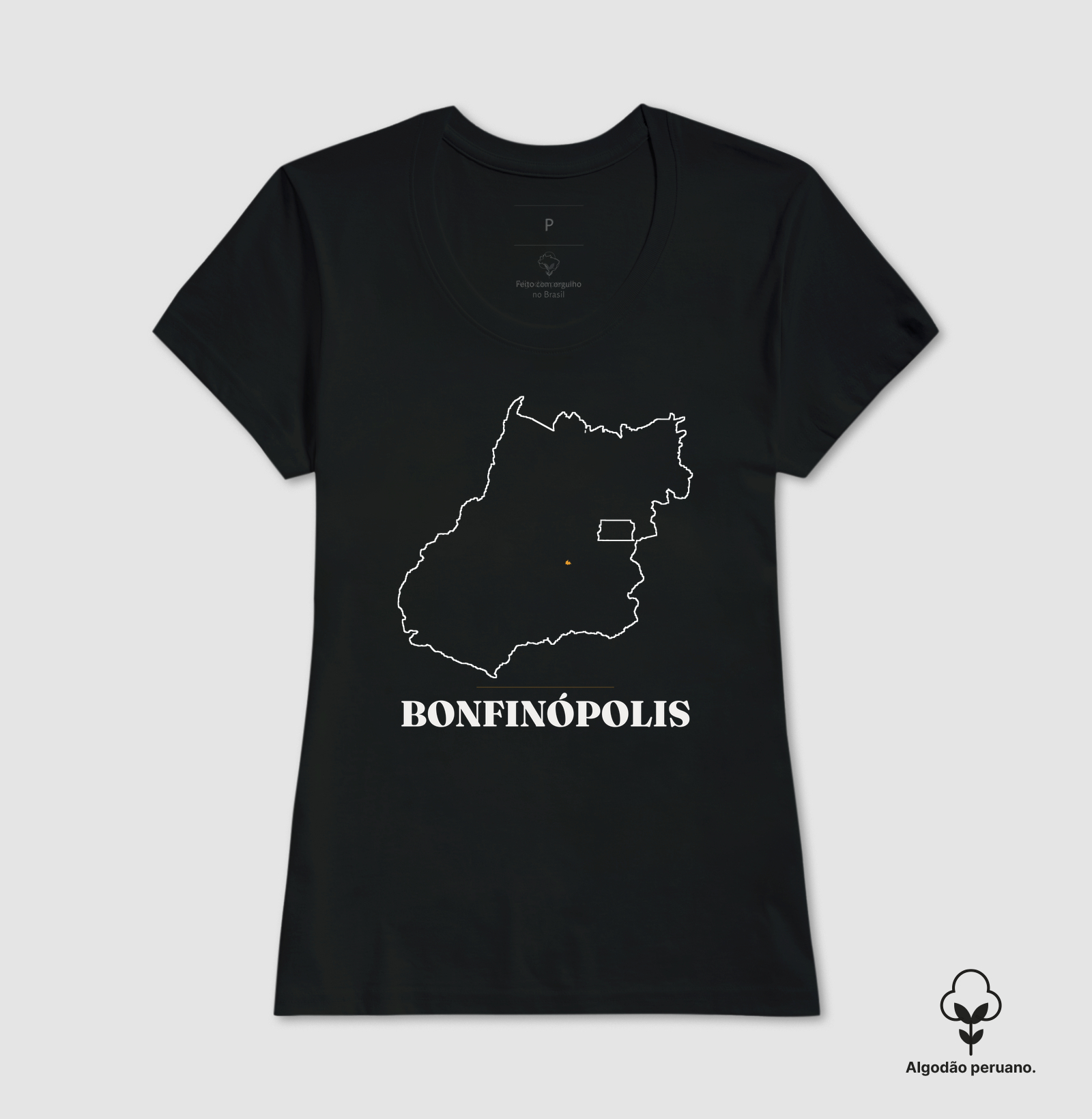 Bonfinópolis | Traço GO - Imagem 7