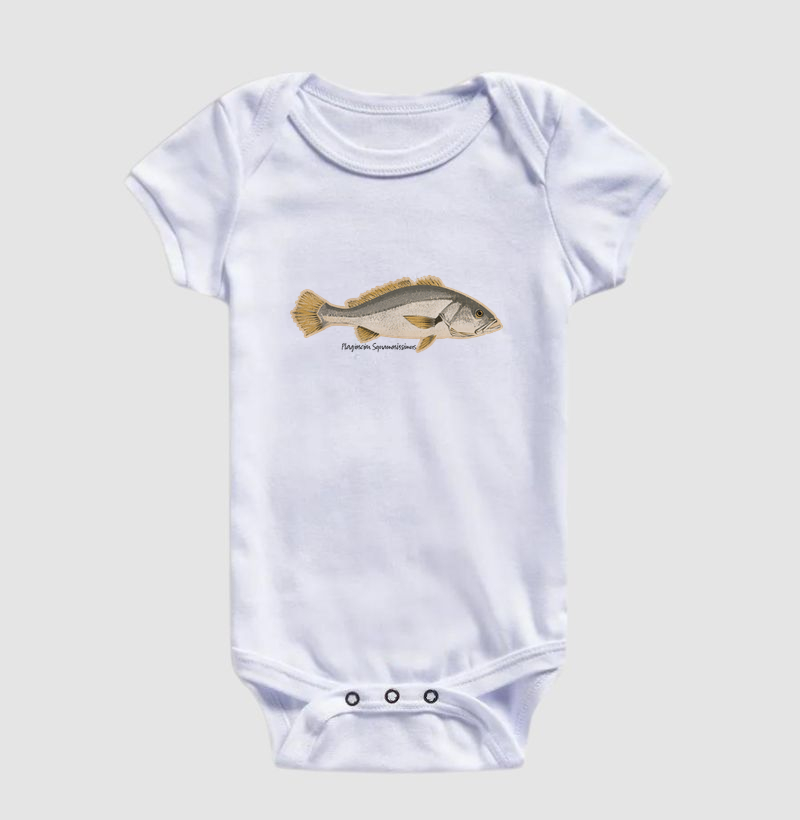 🎣 Corvina 🐟 - Imagem 3