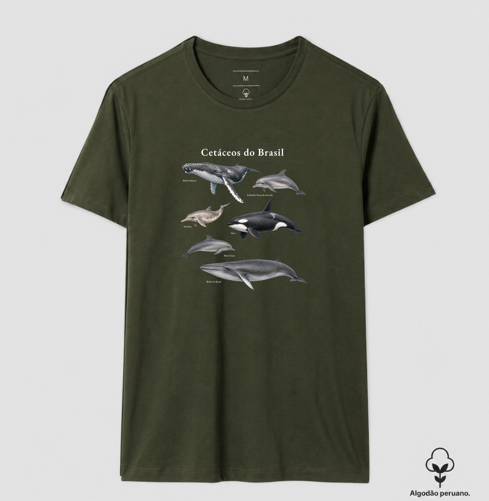 Camisa 7