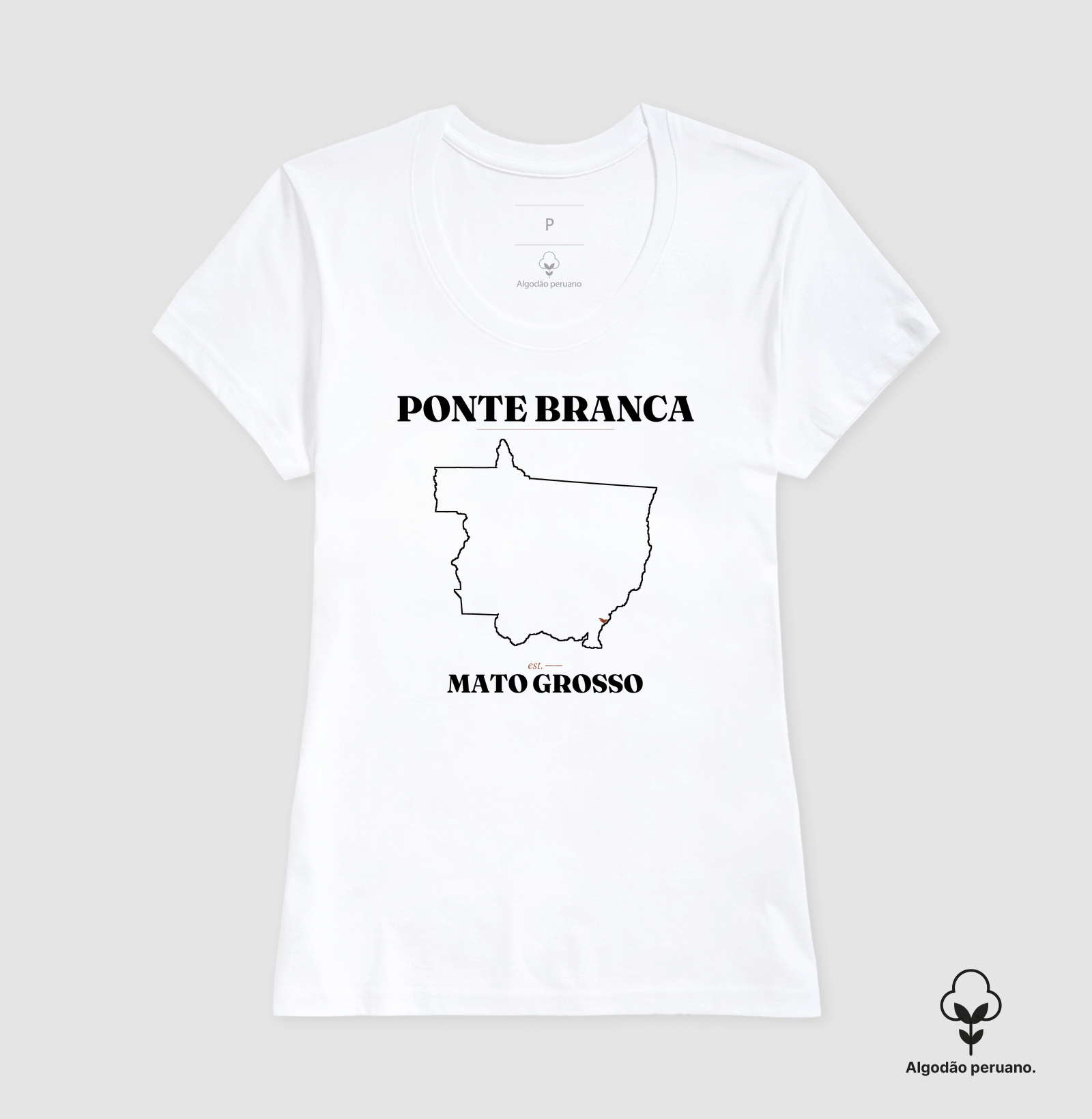 Ponte Branca | Legado MT - Imagem 6