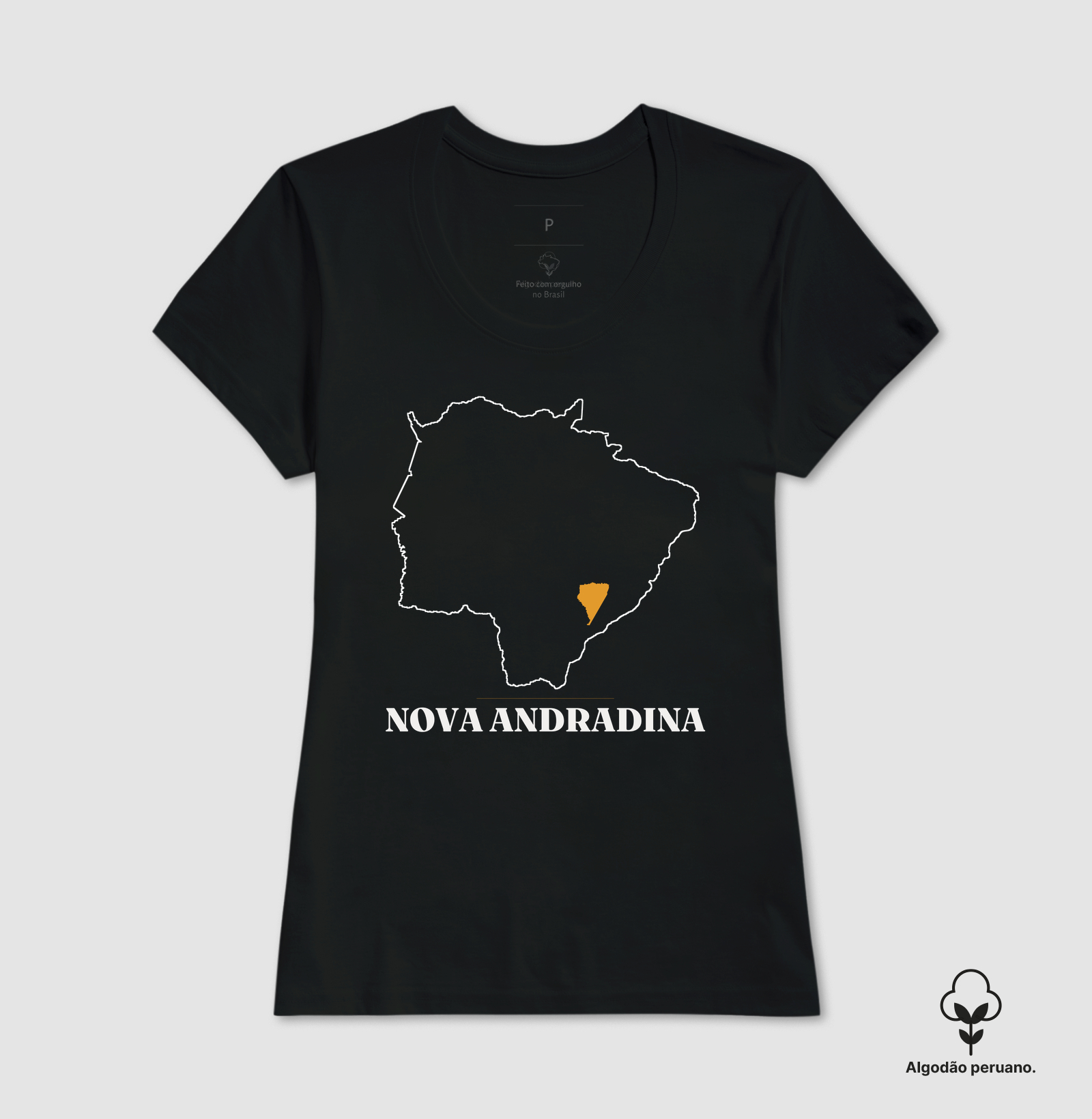 Nova Andradina | Traço MS - Imagem 3