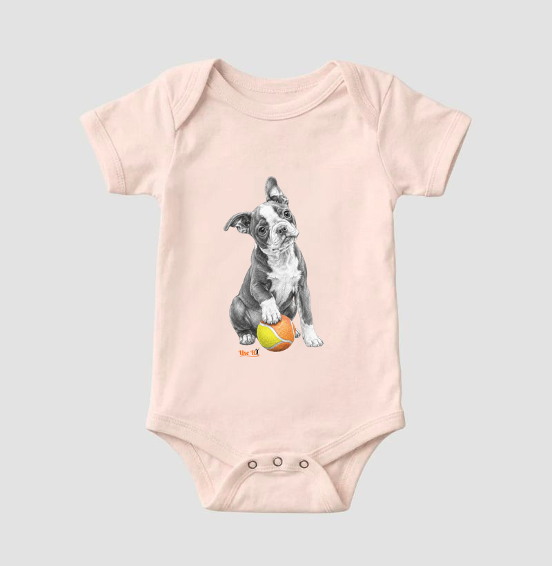 Boston Terrier do Beach - Imagem 5