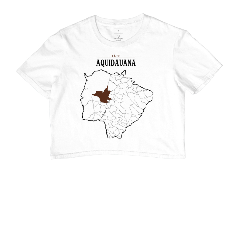 Aquidauana | Território MS - Imagem 3