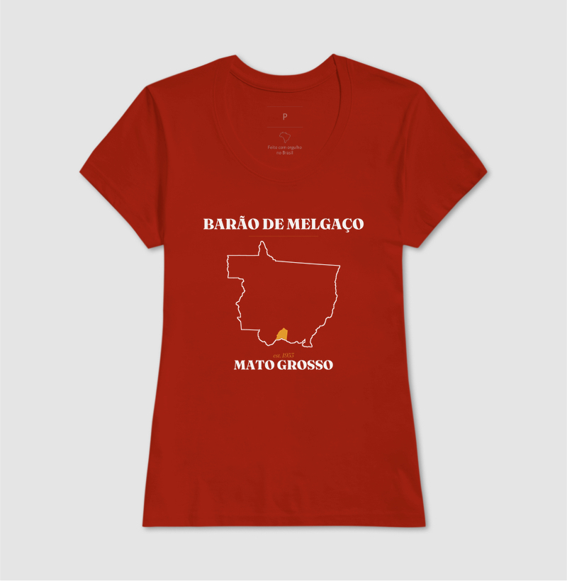 Barão de Melgaço | Legado MT - Imagem 11
