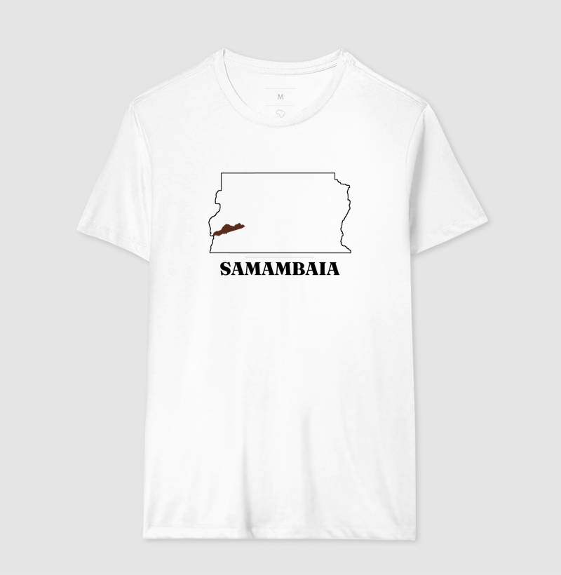 Samambaia | Traço DF - Imagem 4