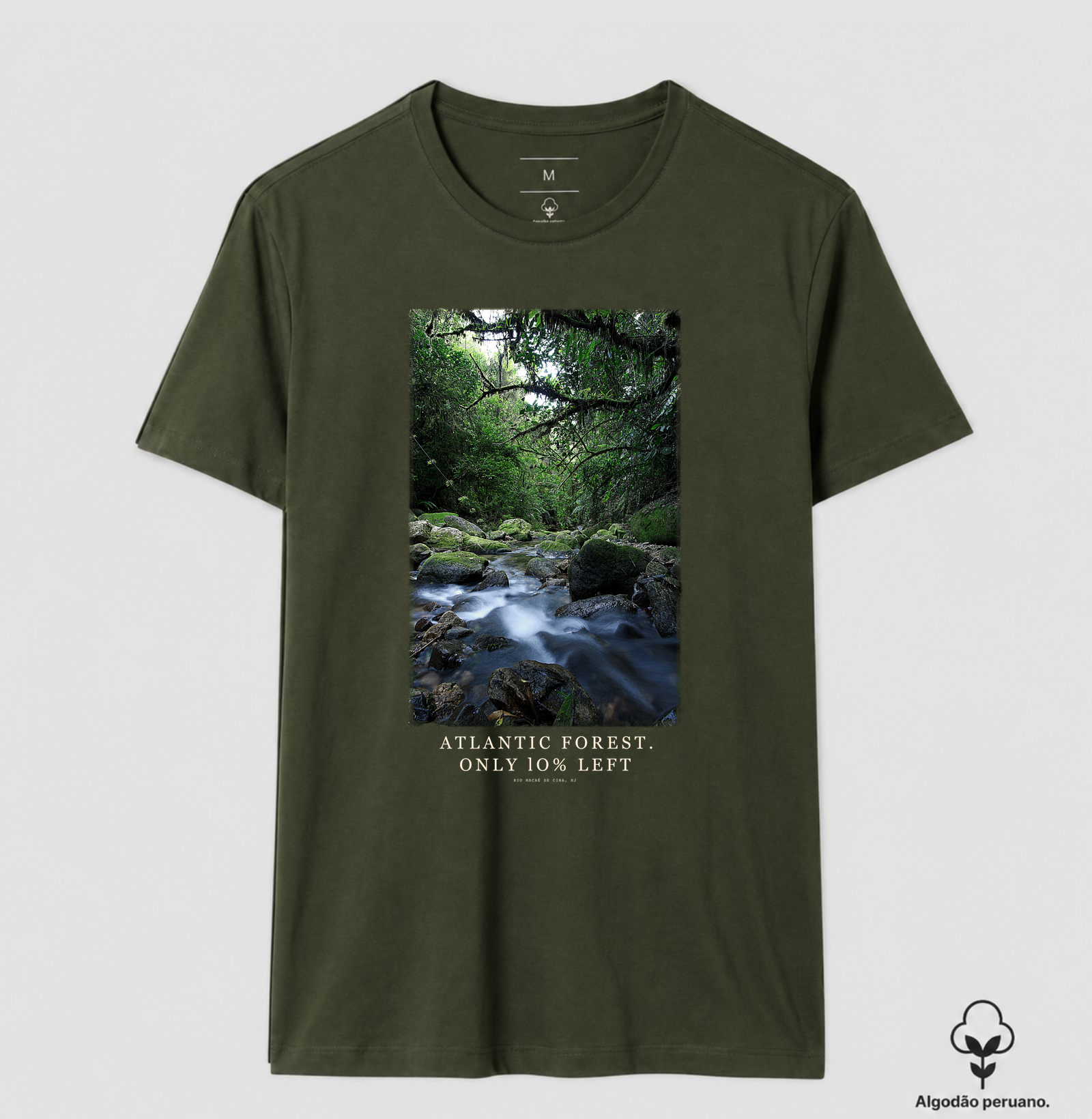 Atlantic Forest - Imagem 6
