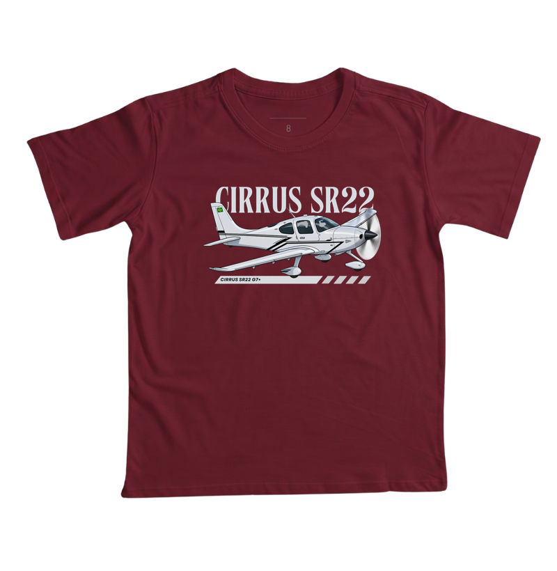 Cirrus SR22 G7+ - Imagem 7