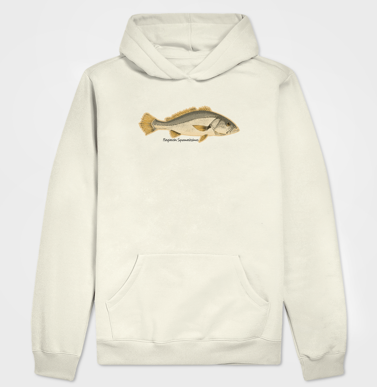 🎣 Corvina 🐟 - Imagem 3