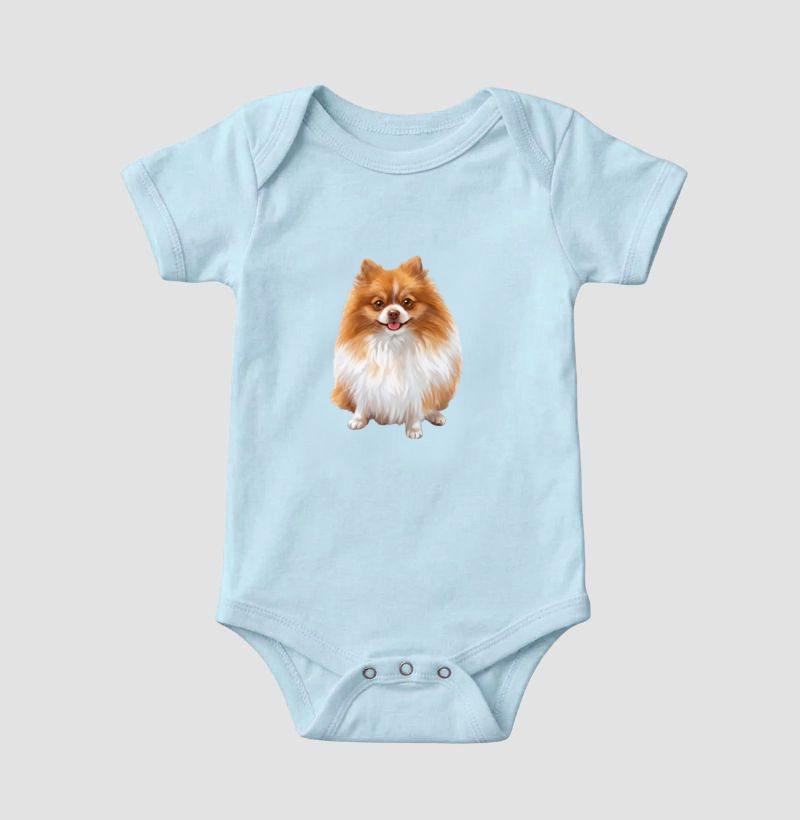 Pomerânia Laranja e Branca Minimalista - Imagem 4