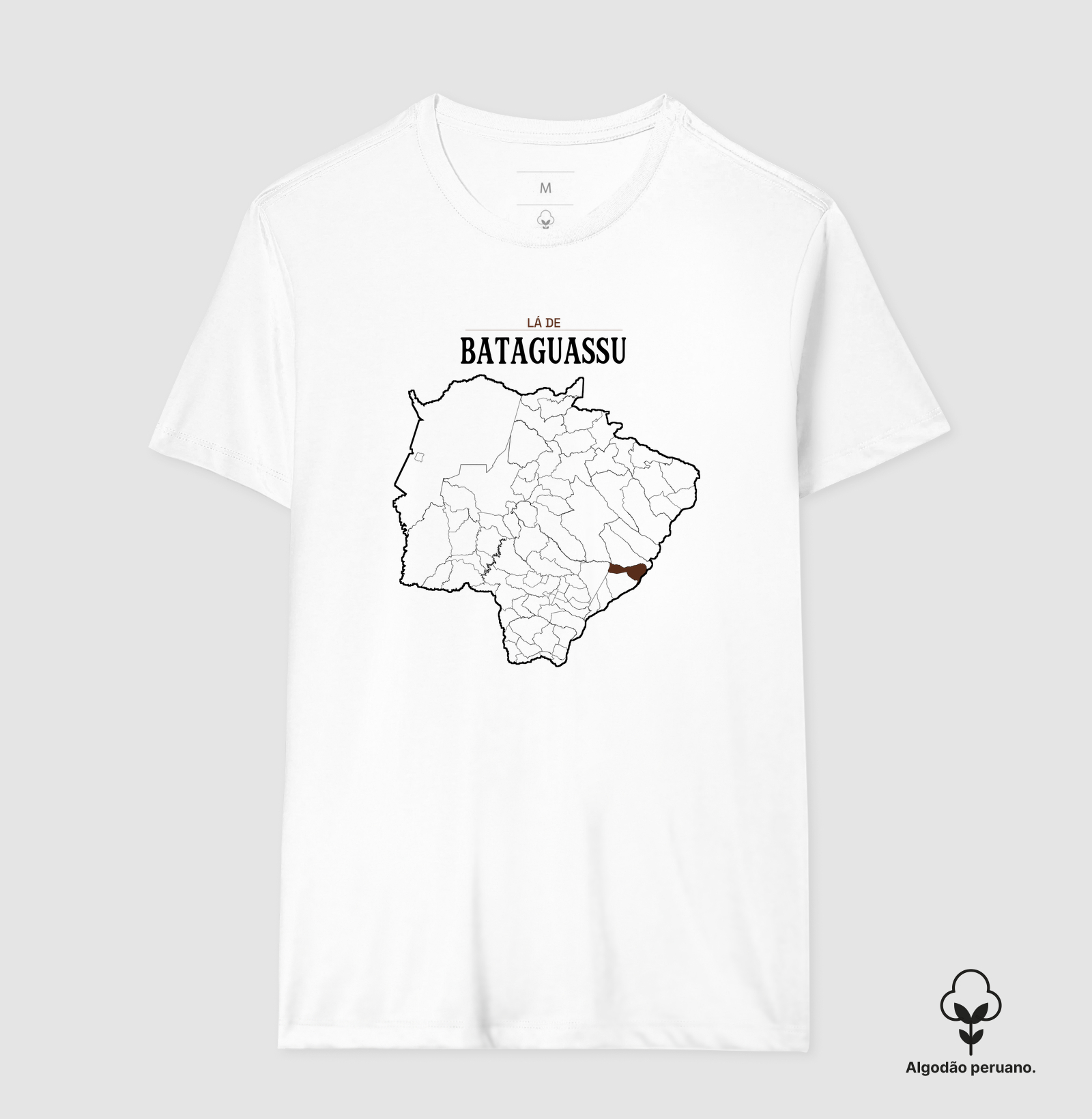 Bataguassu | Território MS - Imagem 4