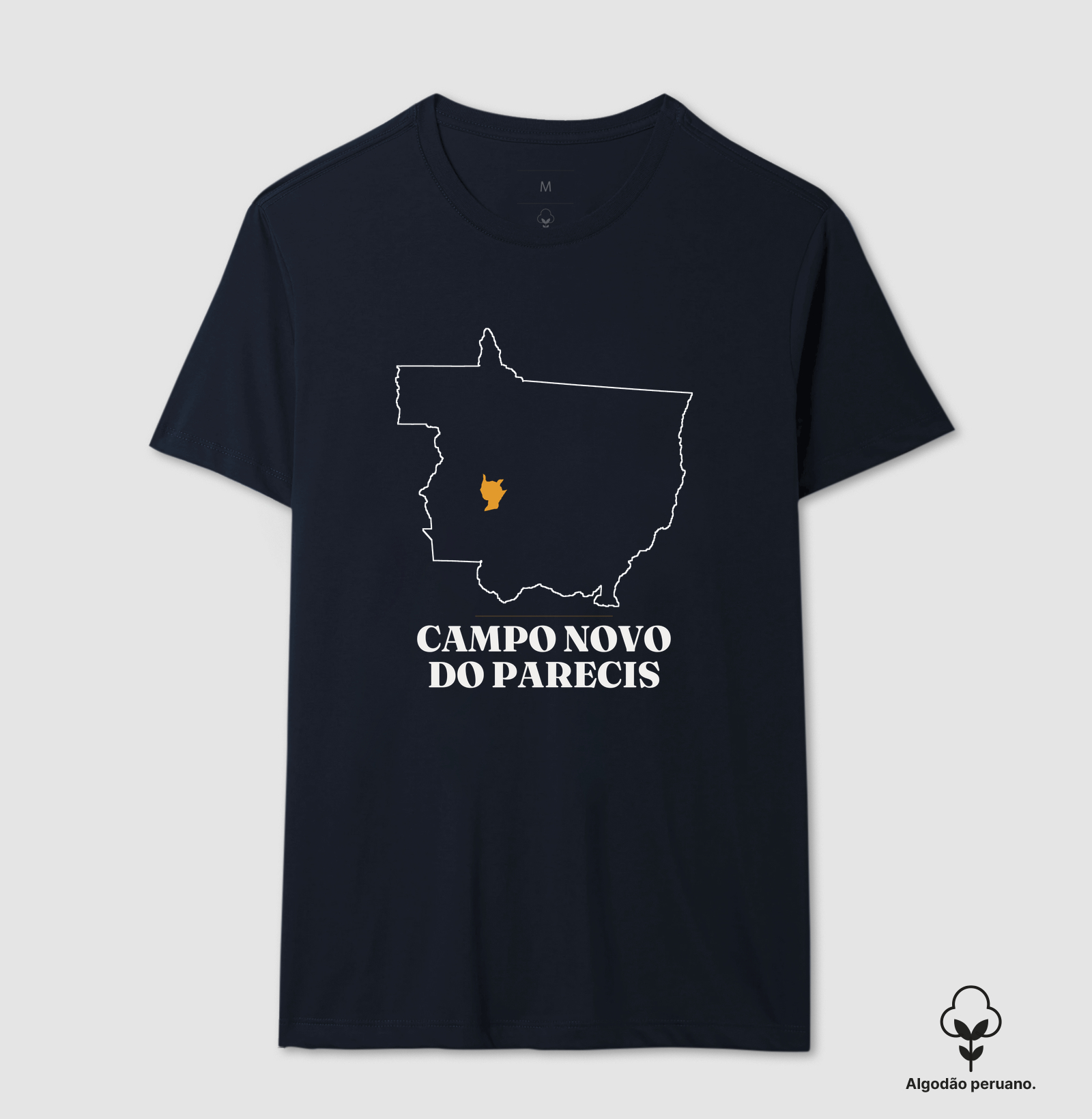 Campo Novo do Parecis | Traço MT - Imagem 7