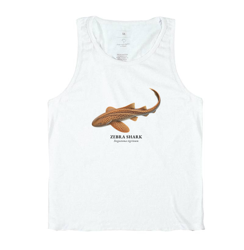 Zebra Shark - Imagem 2