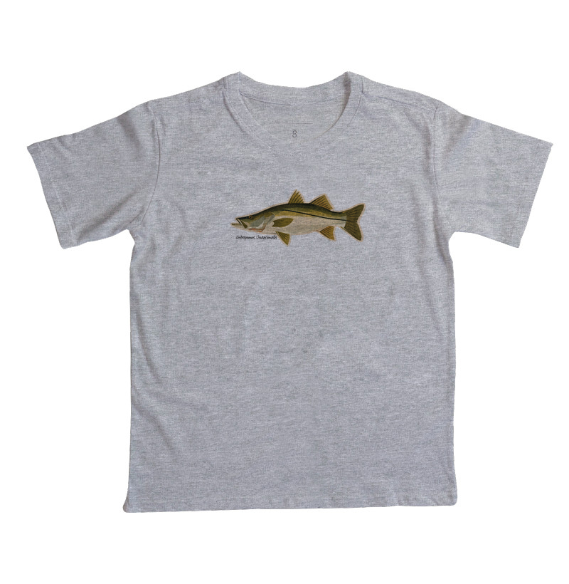 Robalo - Imagem 3