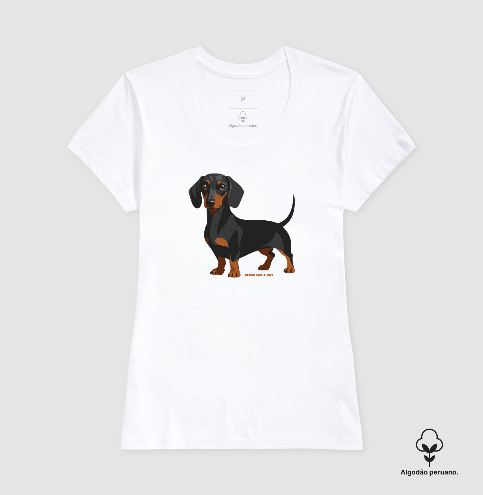 Dachshund - Imagem 3