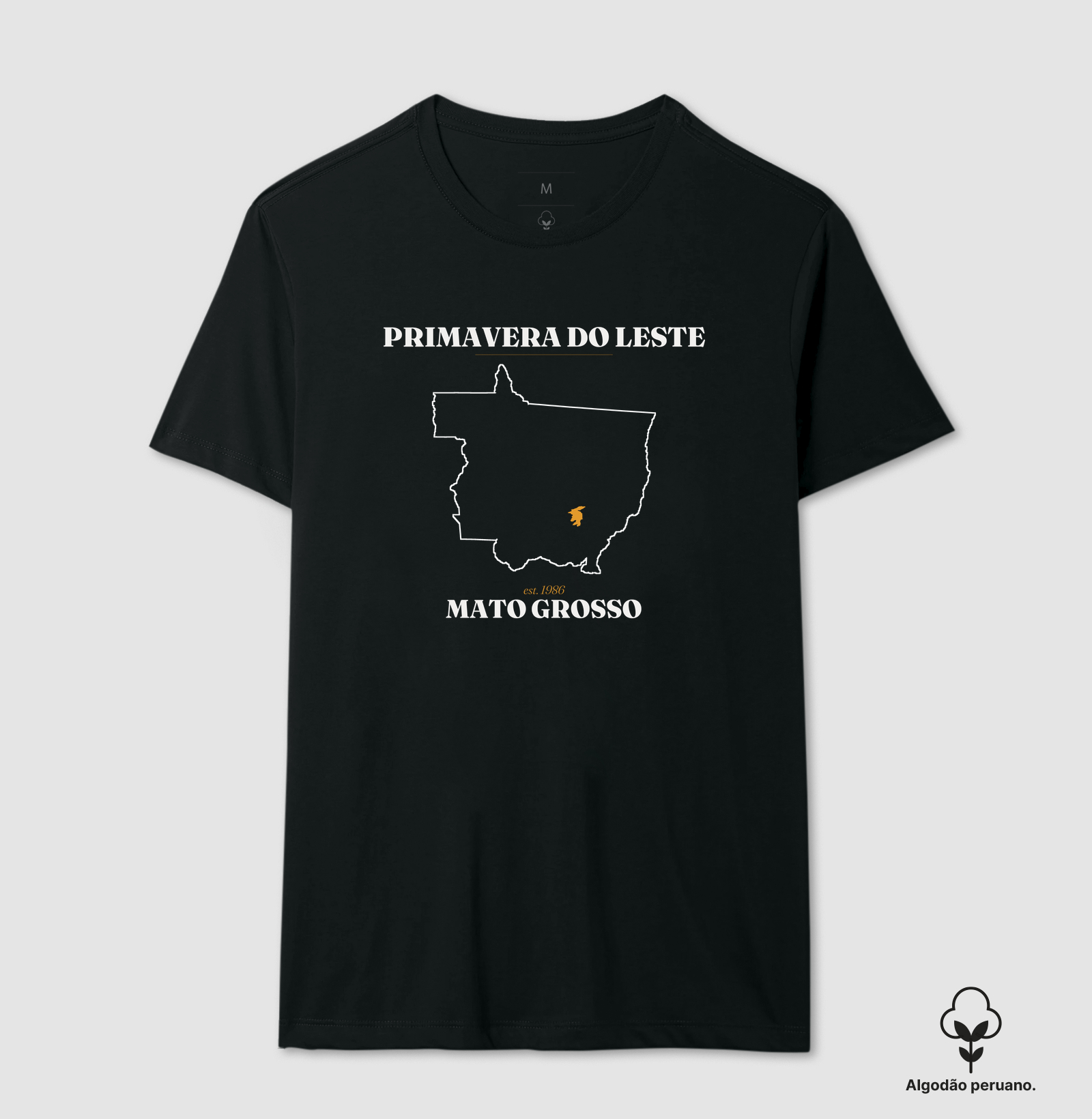 Primavera do Leste | Legado MT - Imagem 5