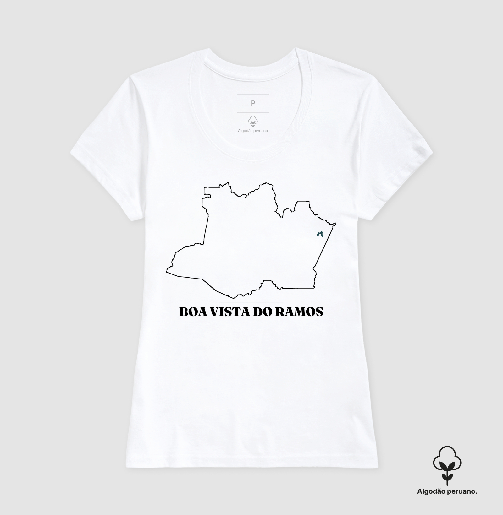 Boa Vista do Ramos | Traço AM - Imagem 7