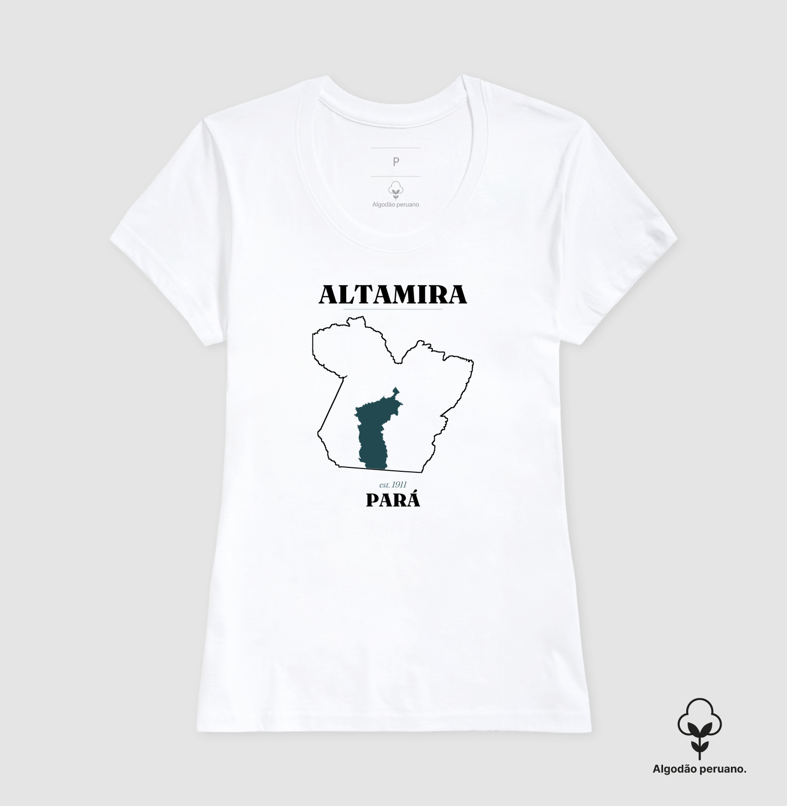 Altamira | Legado PA - Imagem 9