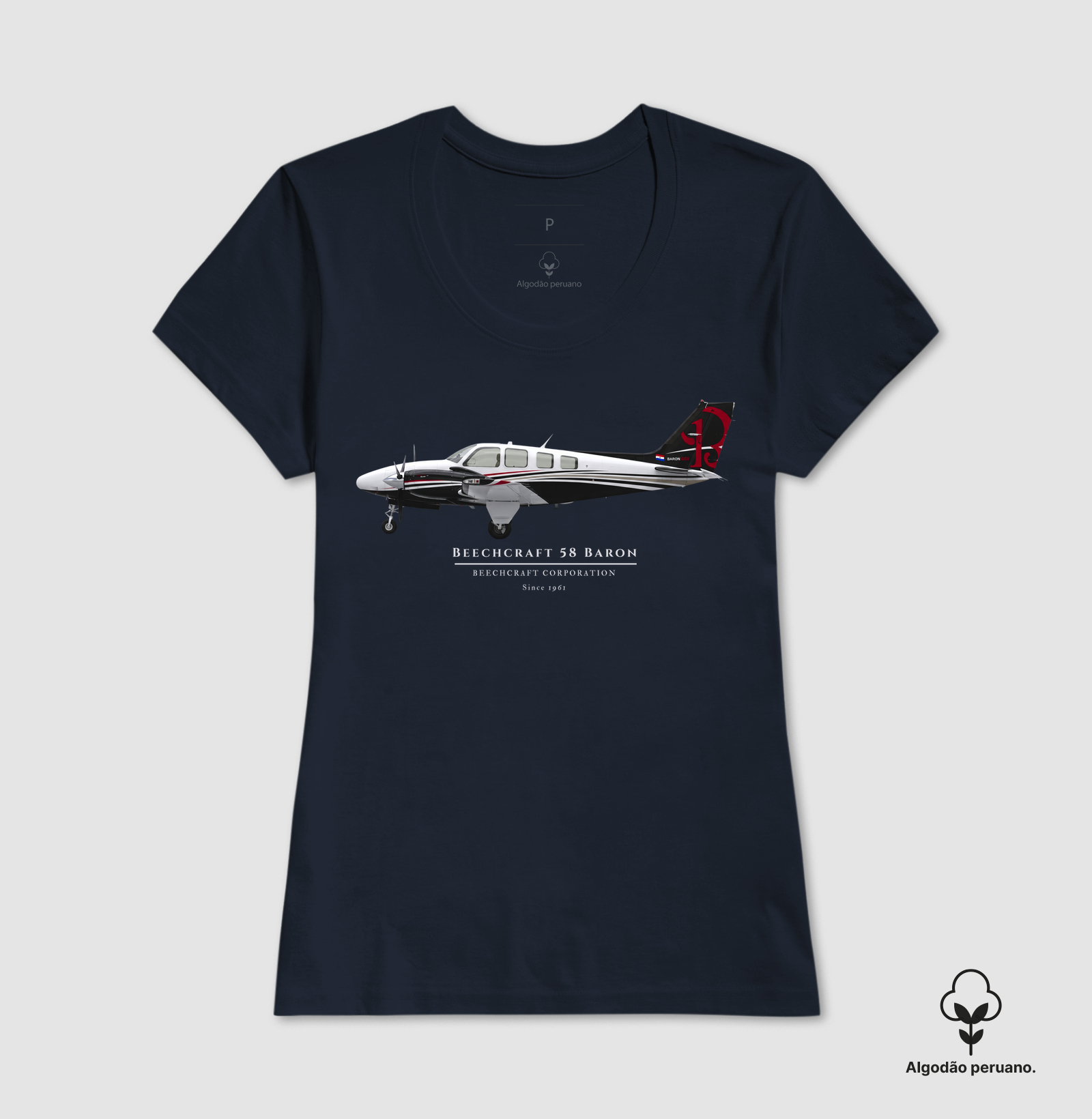 Beechcraft Baron 58 - Profile - Imagem 3