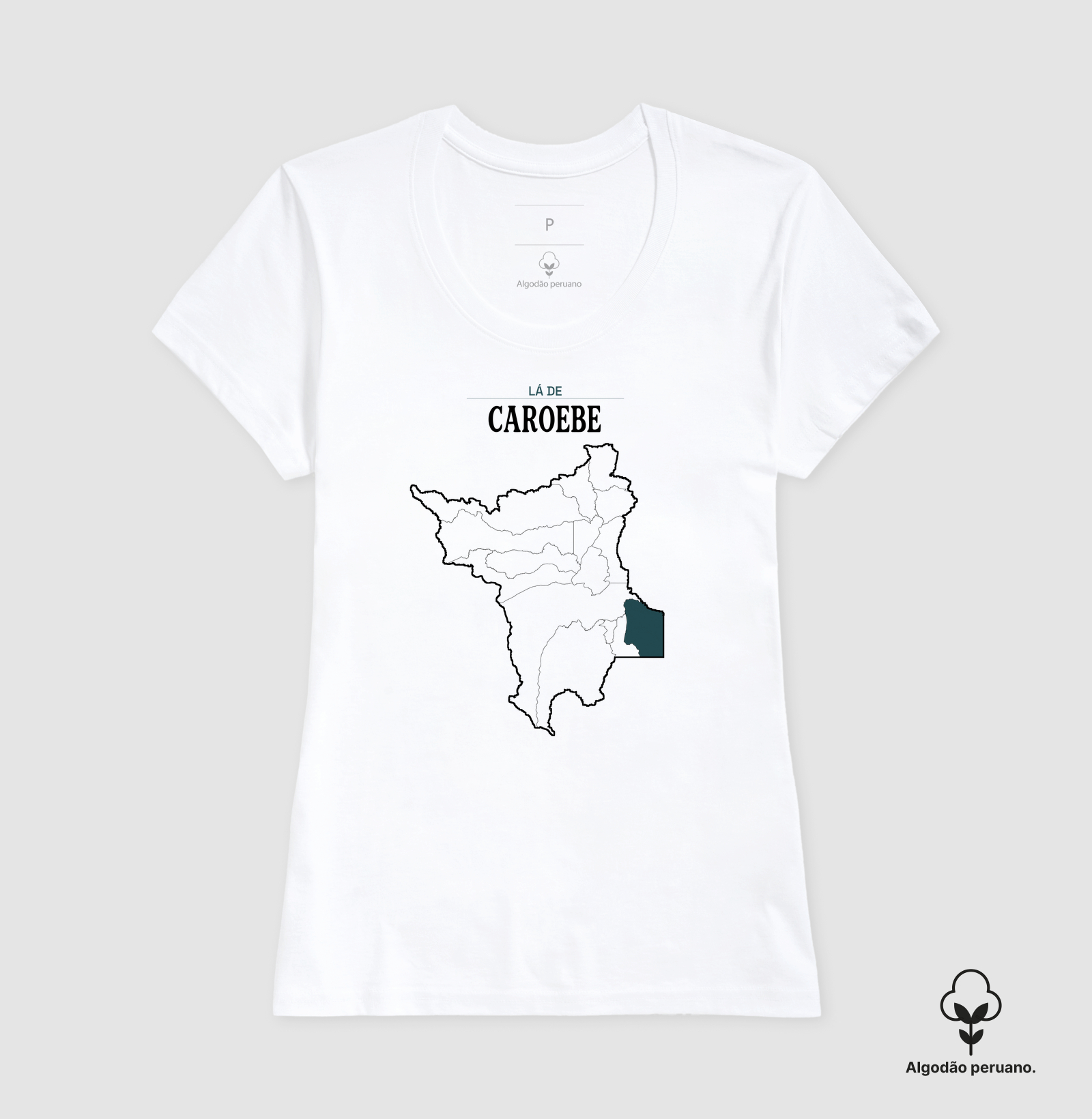 Caroebe | Território RR - Imagem 2