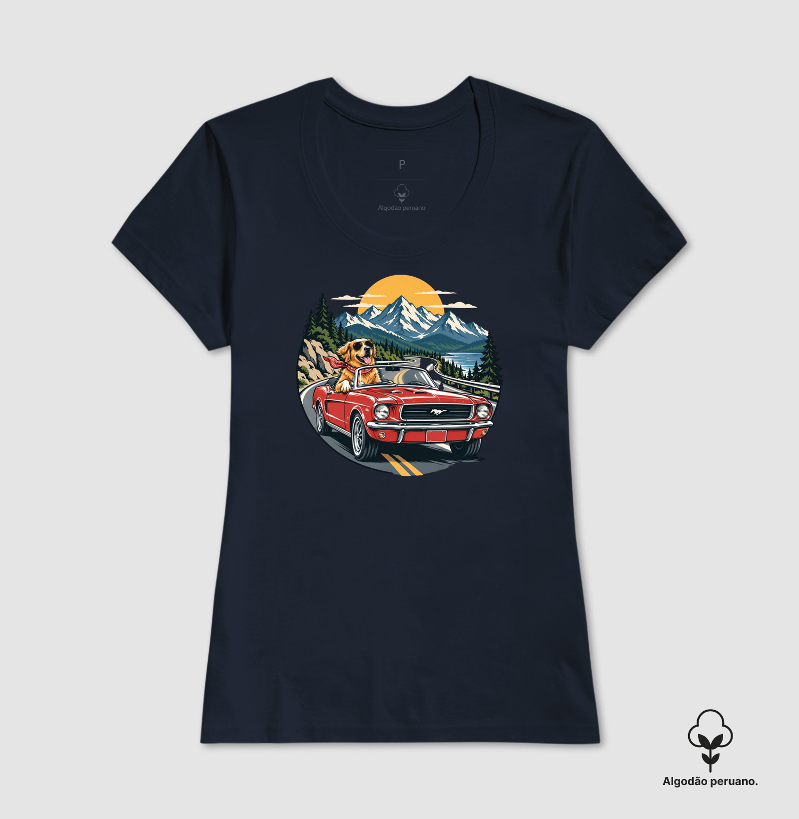 Road Trip - Imagem 7