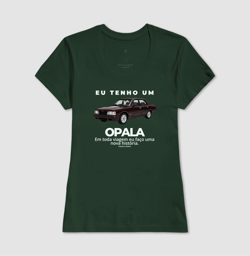 Eu tenho um Opala Diplomata vinho - Imagem 13