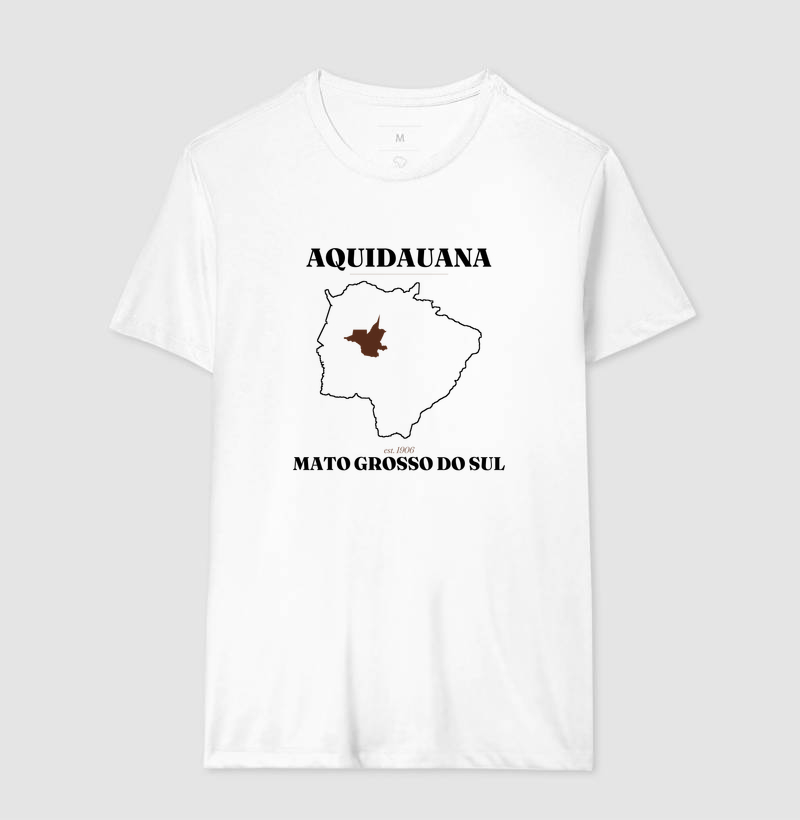 Aquidauana | Legado MS - Imagem 4