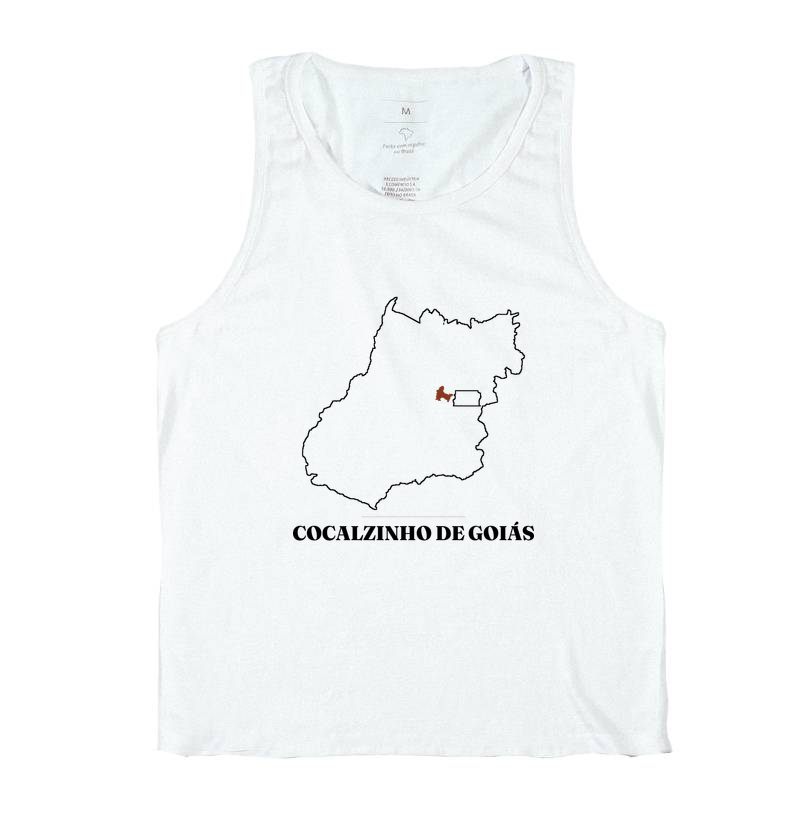 Cocalzinho de Goiás | Traço GO - Imagem 2