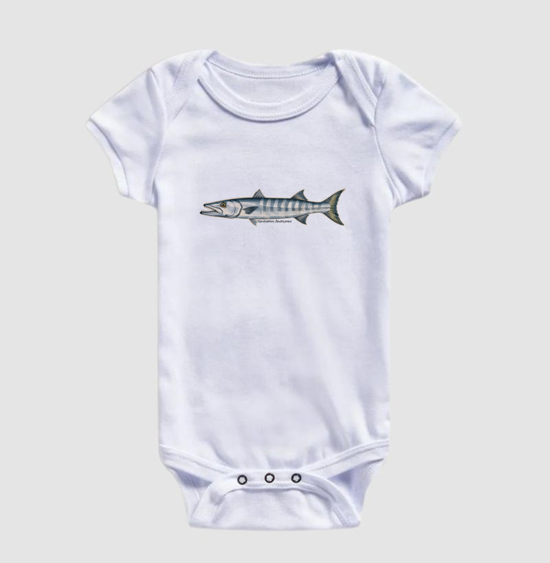 Barracuda - Imagem 3