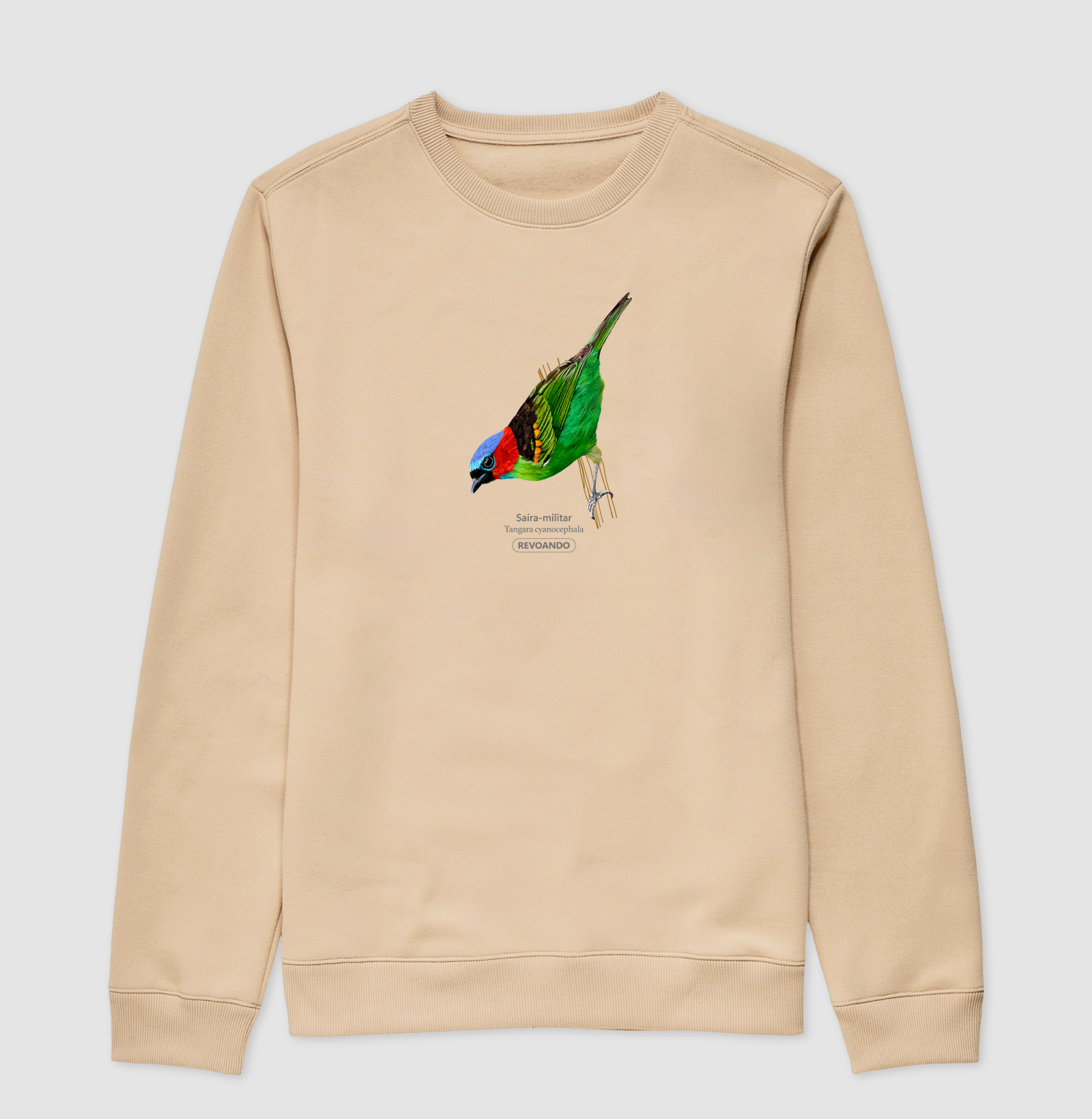 Camisa 4