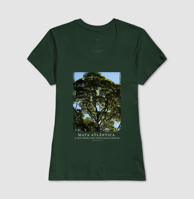 Mata Atlântica - Imagem 7