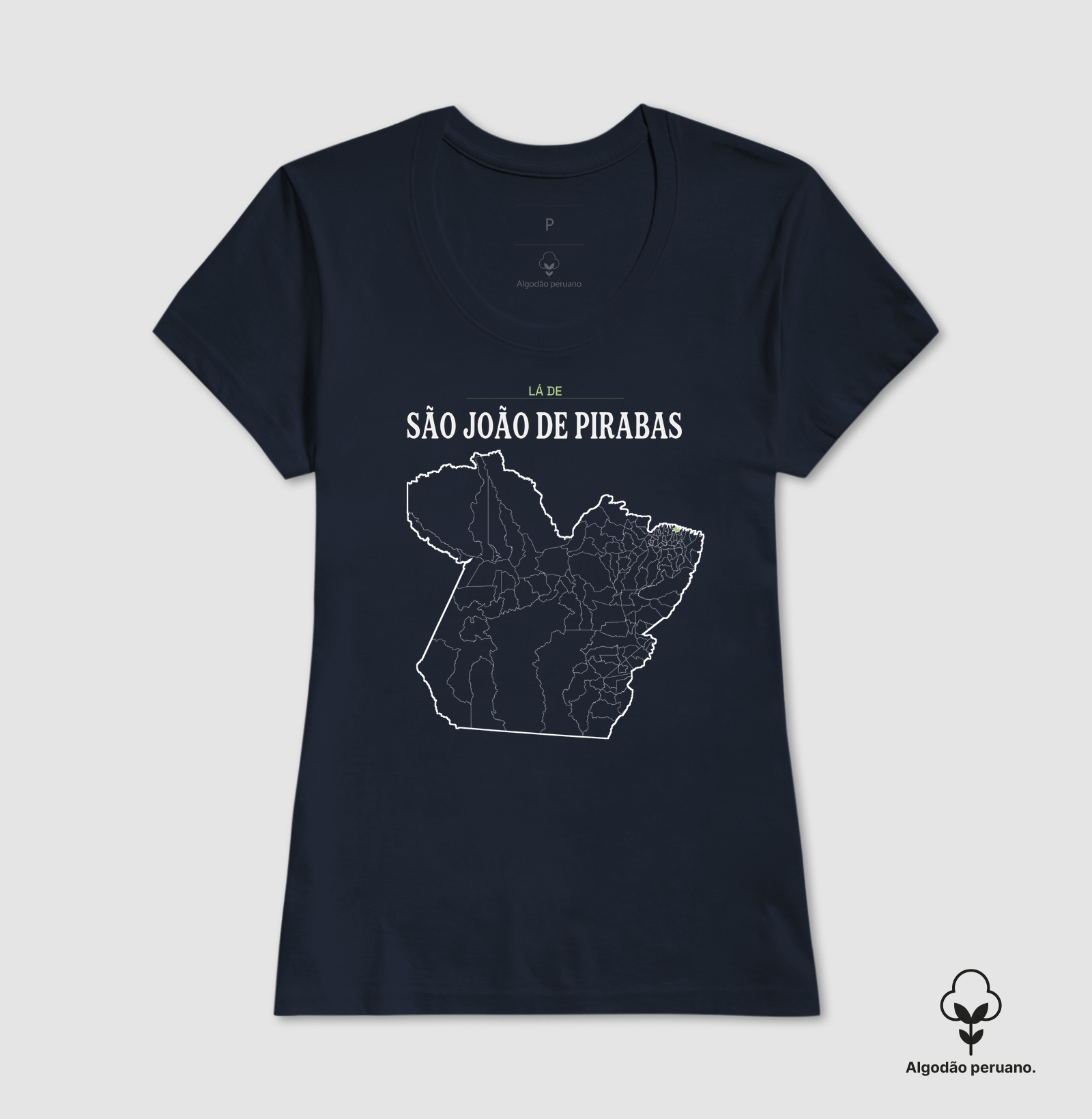 São João de Pirabas | Território PA - Imagem 7
