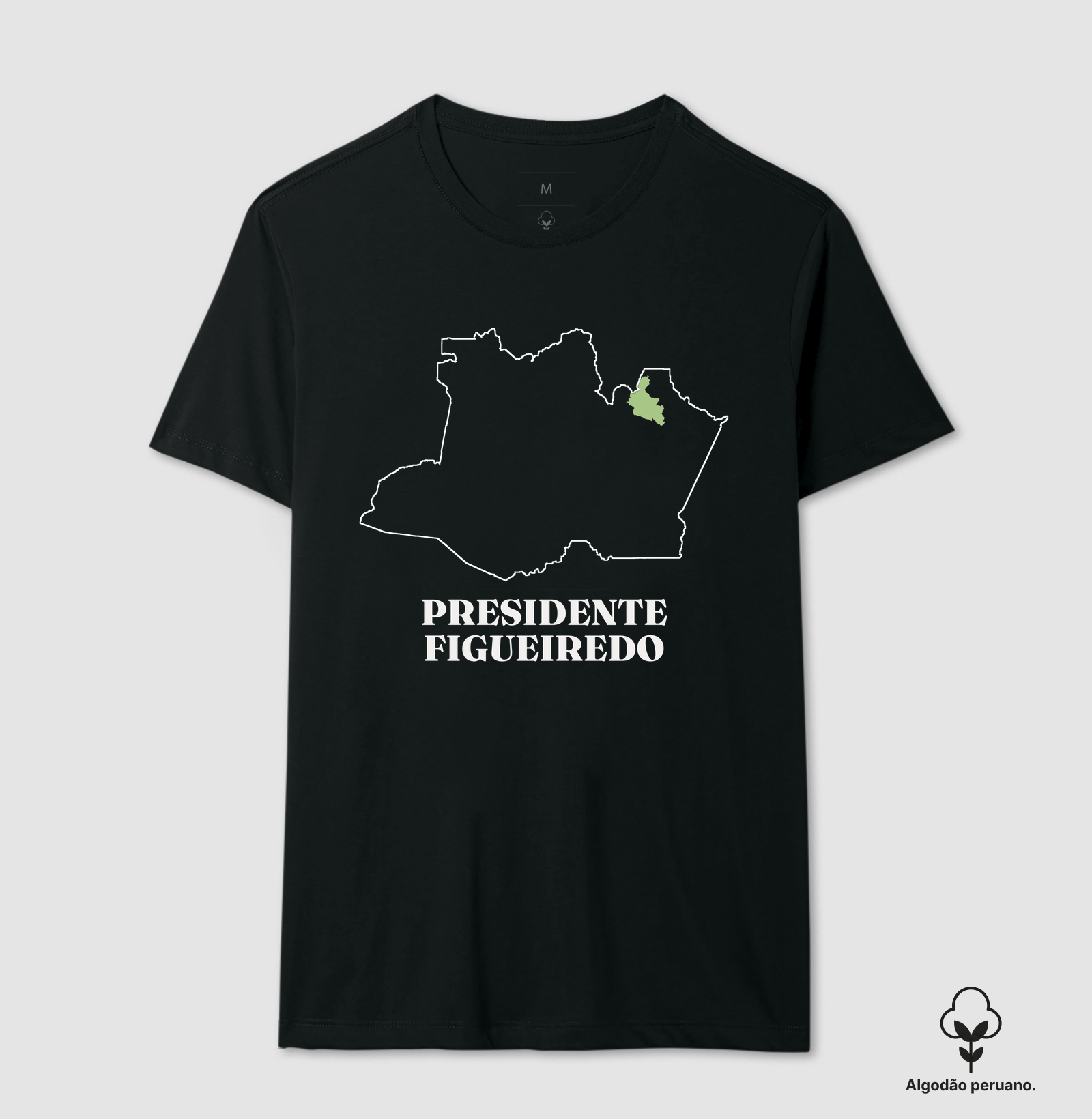 Presidente Figueiredo | Traço AM - Imagem 4