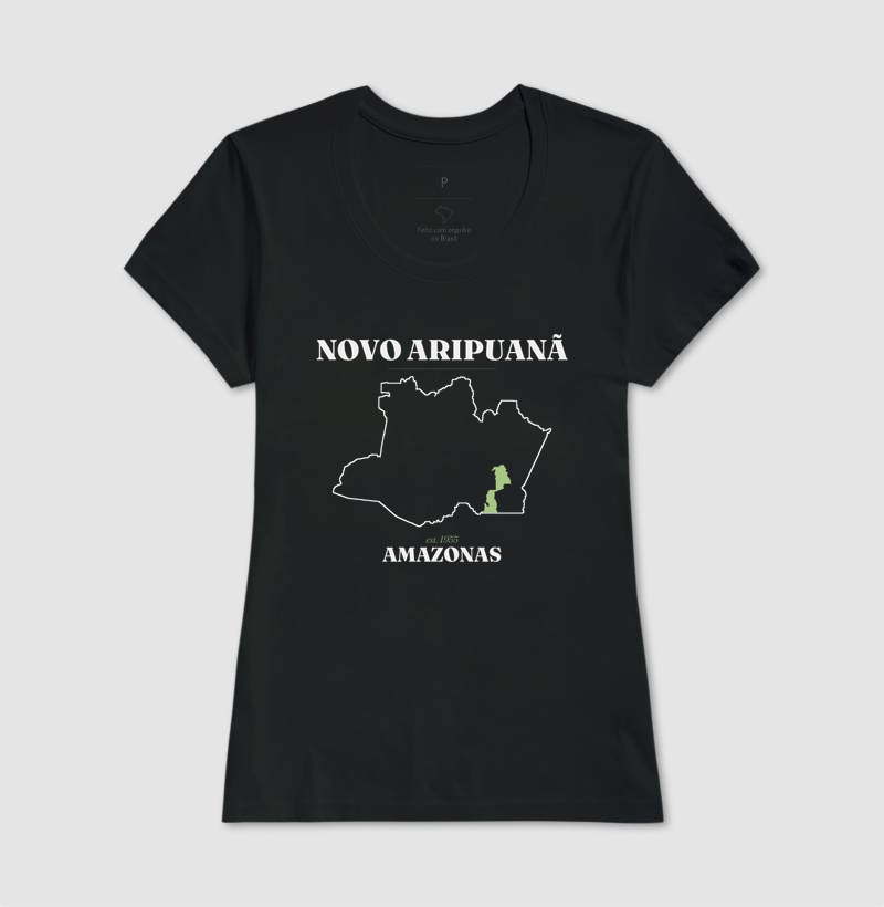 Novo Aripuanã | Legado AM - Imagem 3