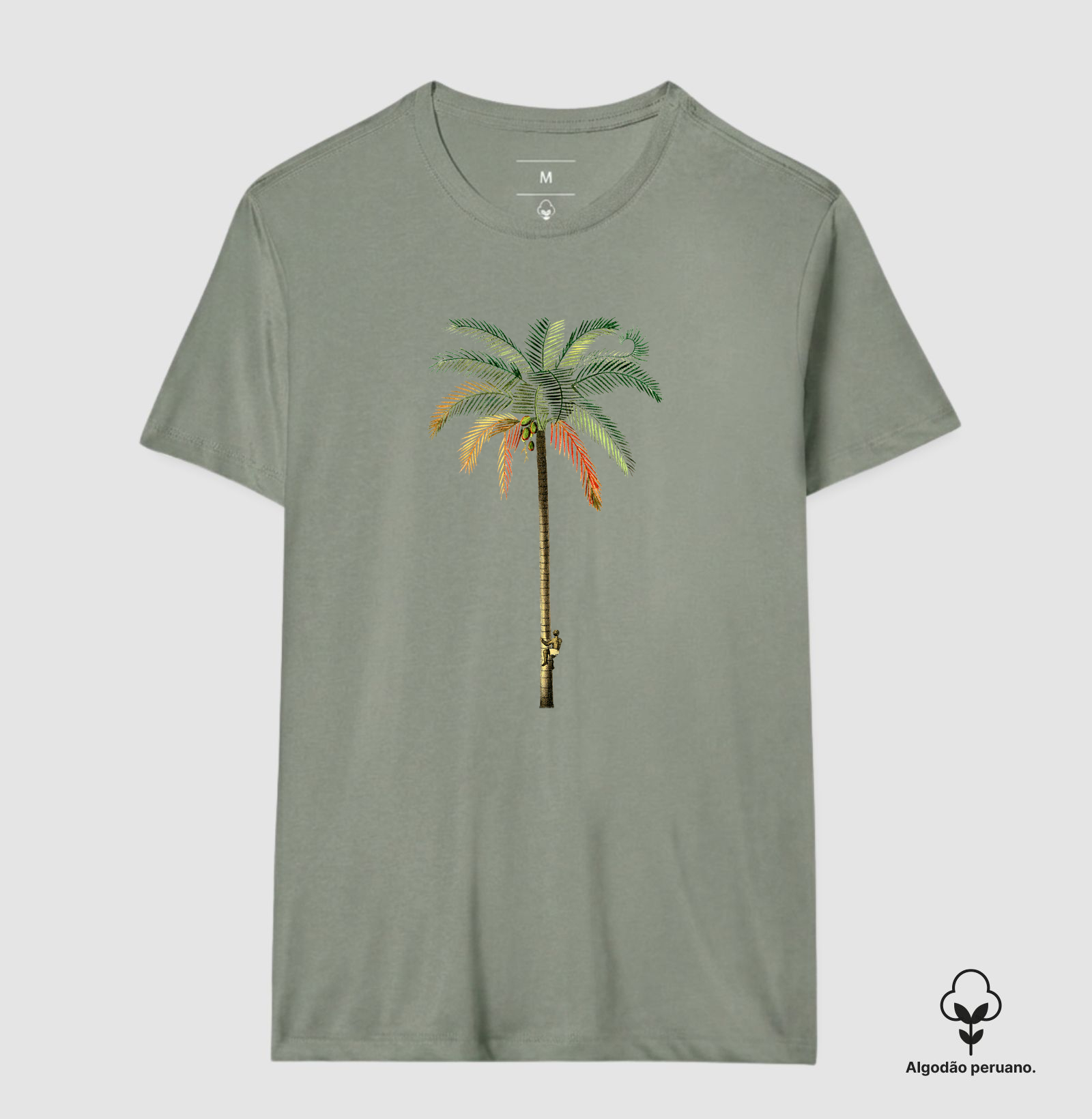 Camisa 7
