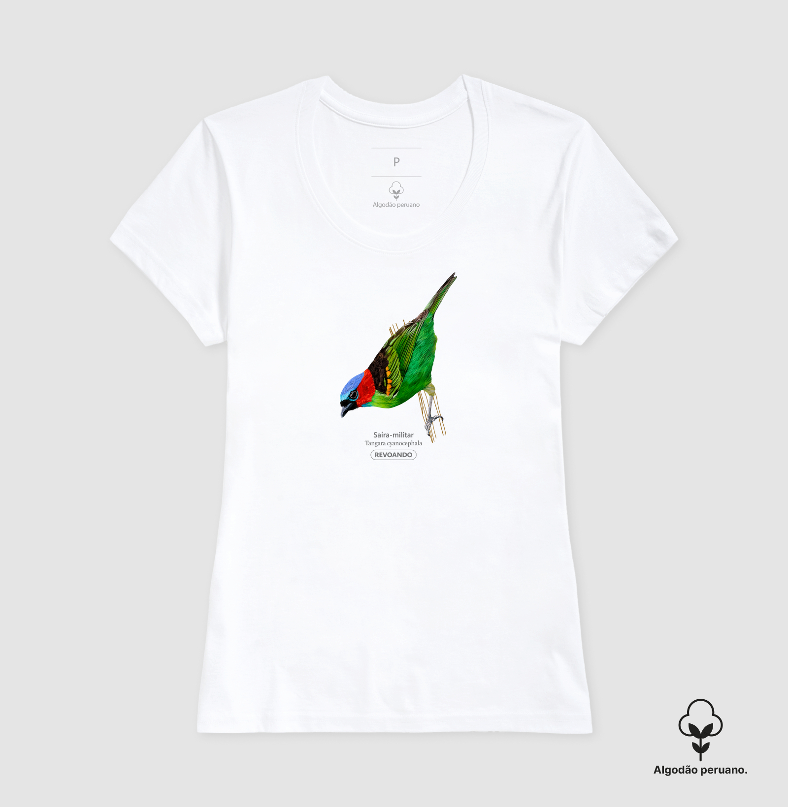 Camisa 4