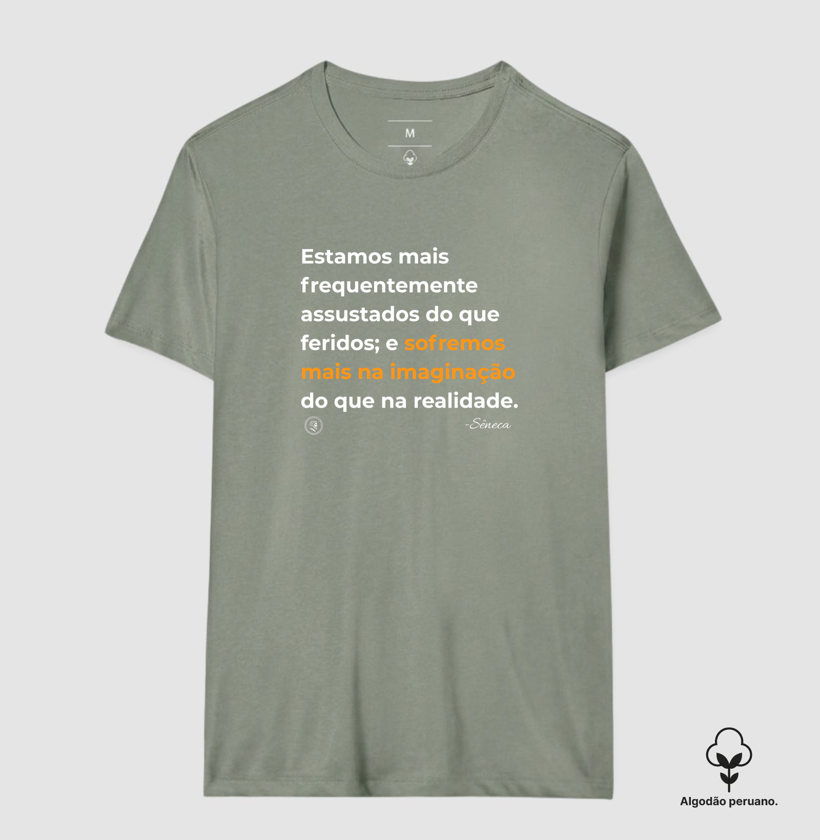 Filosofia Estoicismo de Sêneca "Sofremos mais na imaginação" - Imagem 7