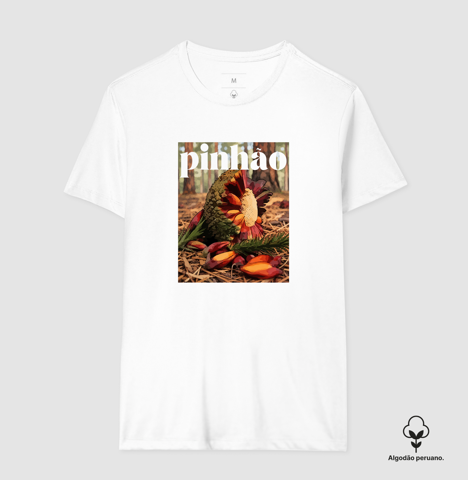 Pinhão - Imagem 5