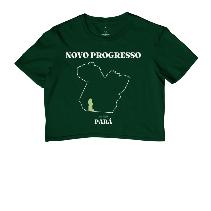 Novo Progresso | Legado PA - Imagem 5
